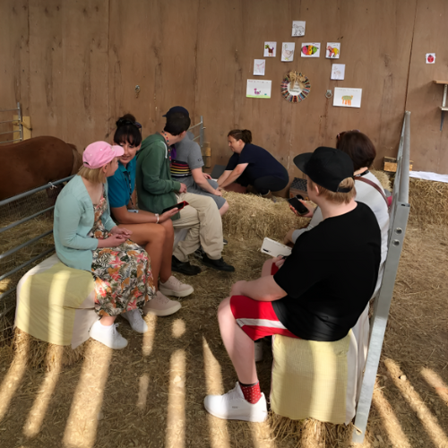 options care day opportunities service